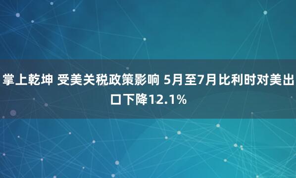 掌上乾坤 受美关税政策影响 5月至7月比利时对美出口下降12.1%